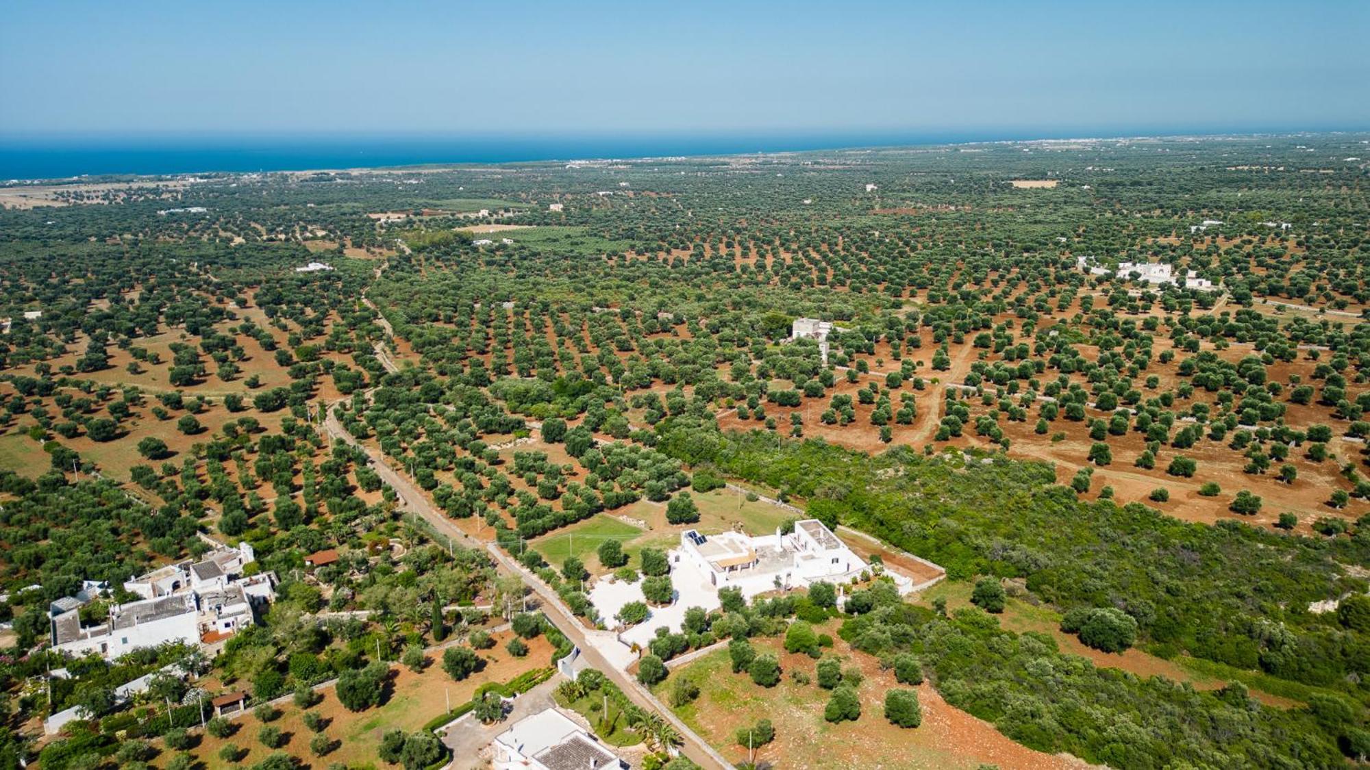 Masseria Abadia Uno Ostuni Eksteriør bilde
