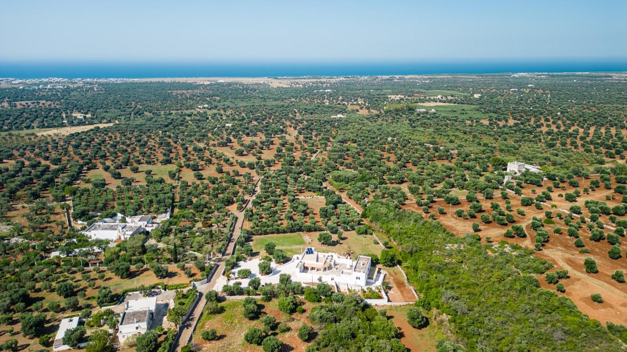 Masseria Abadia Uno Ostuni Eksteriør bilde